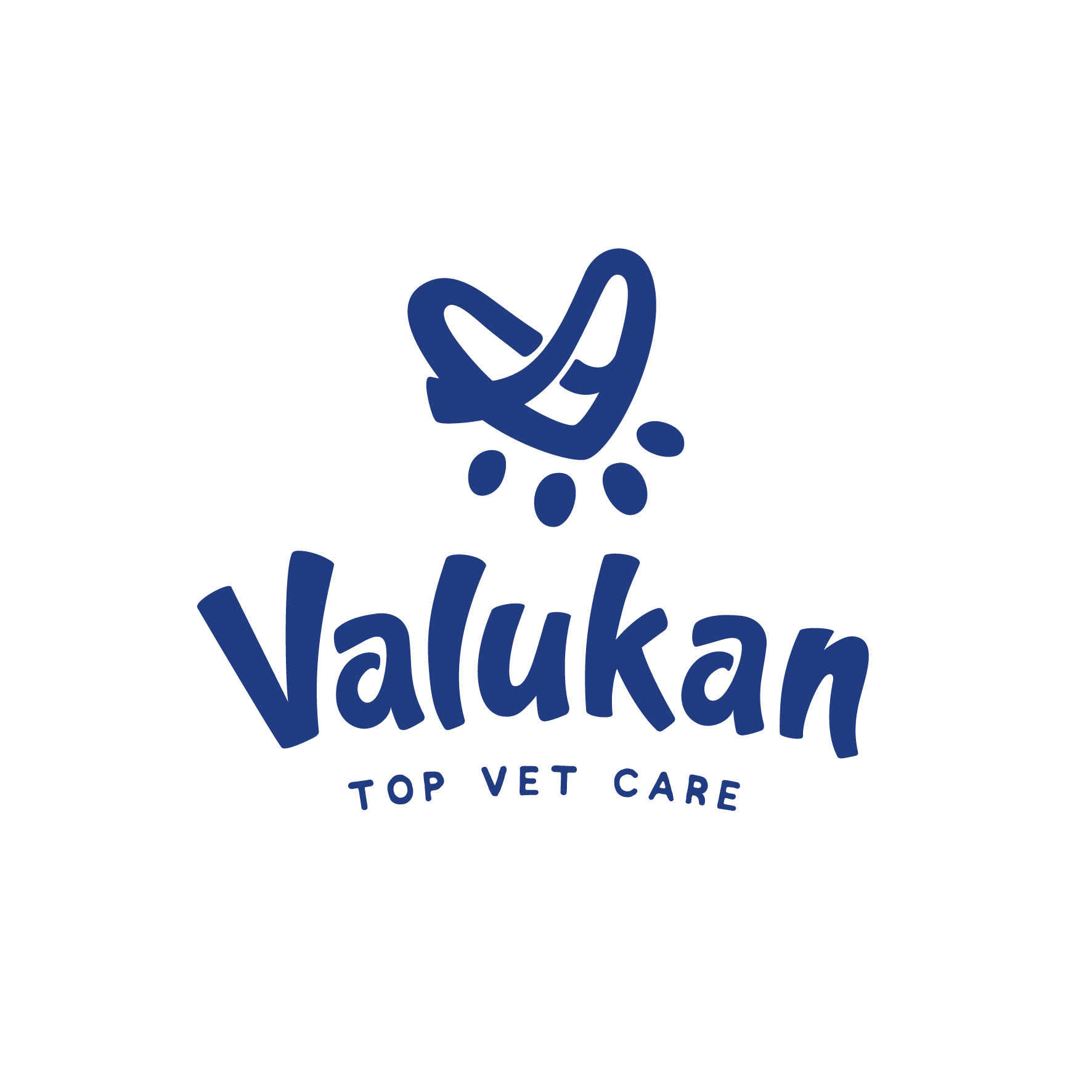 Valukan Logo